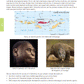 Level 3 Biology AME Workbook