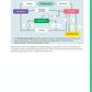 92028 Organisation’s Financial Decision-Making Learning Guide