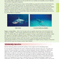 Scholarship Biology AME Workbook - SPECIAL (damaged stock at $10 each)