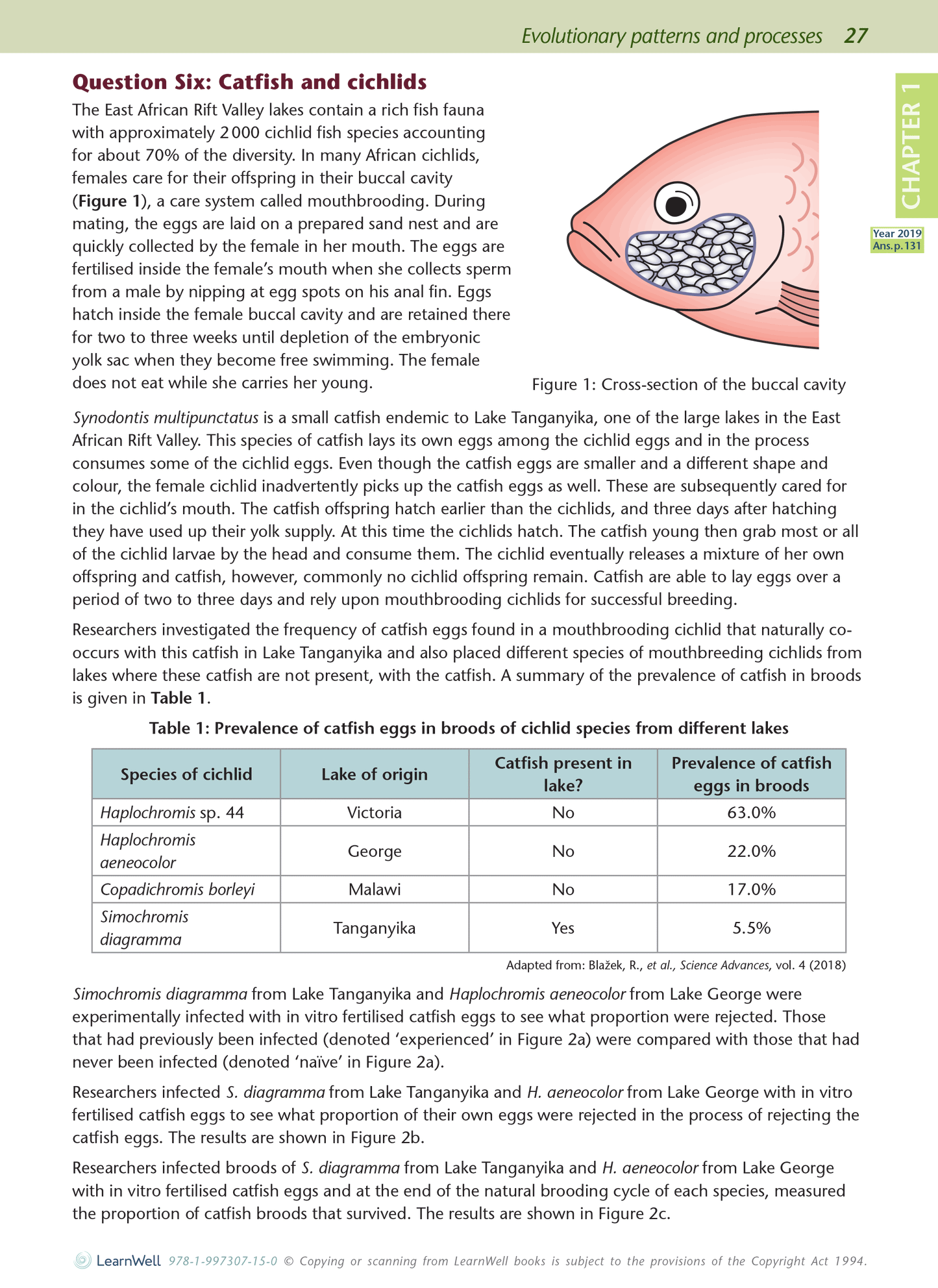 Scholarship Biology AME Workbook