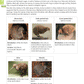 Scholarship Biology AME Workbook