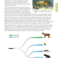 Scholarship Biology AME Workbook