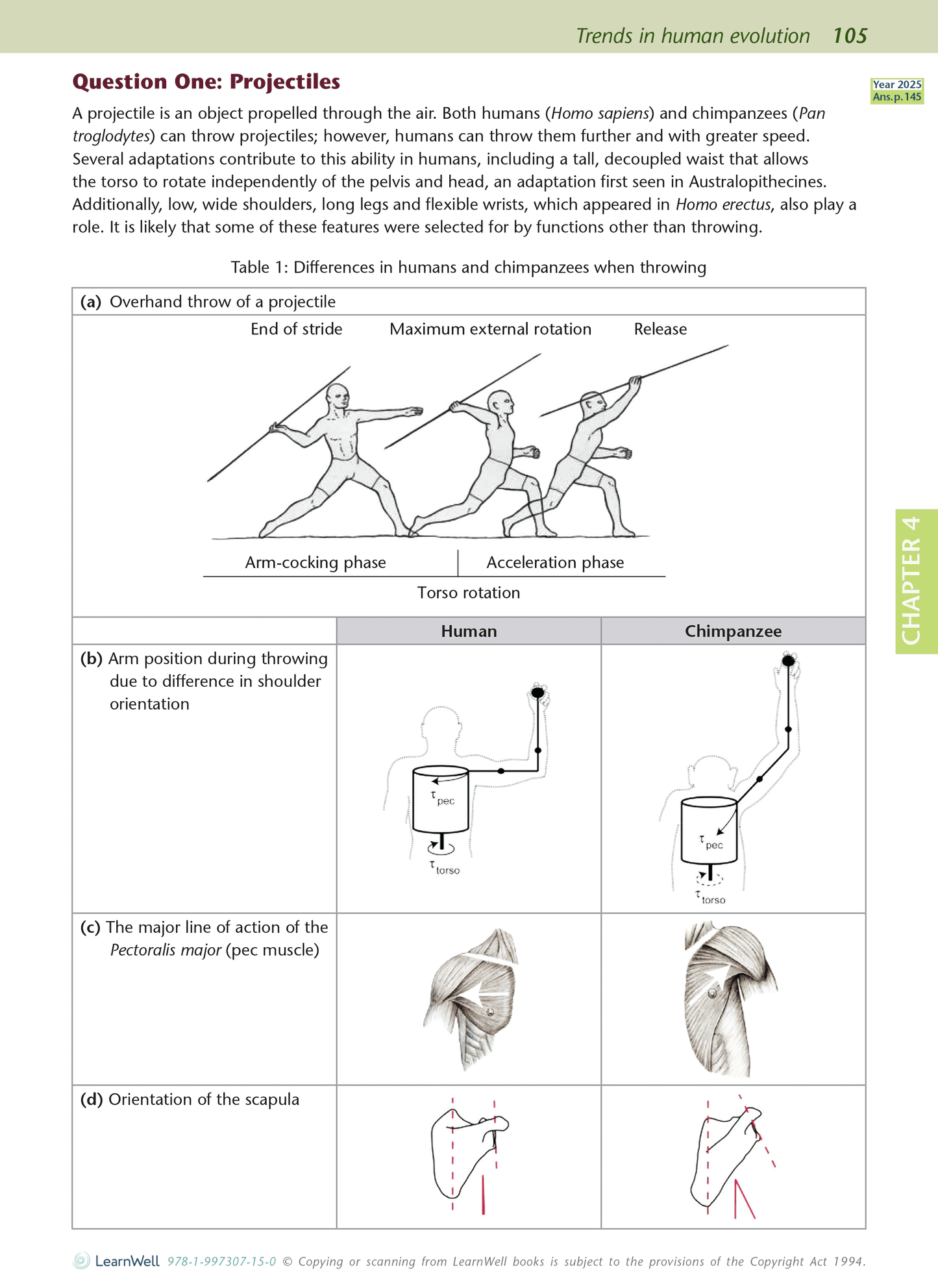 Scholarship Biology AME Workbook