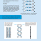 Level 1 Genetic Variation 1.9 Learning Workbook