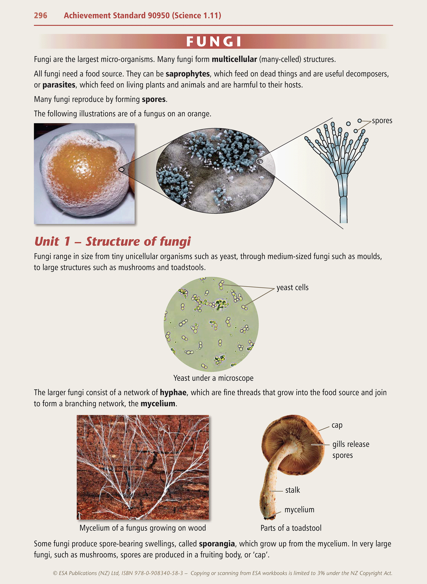 Level 1 Science Learning Workbook