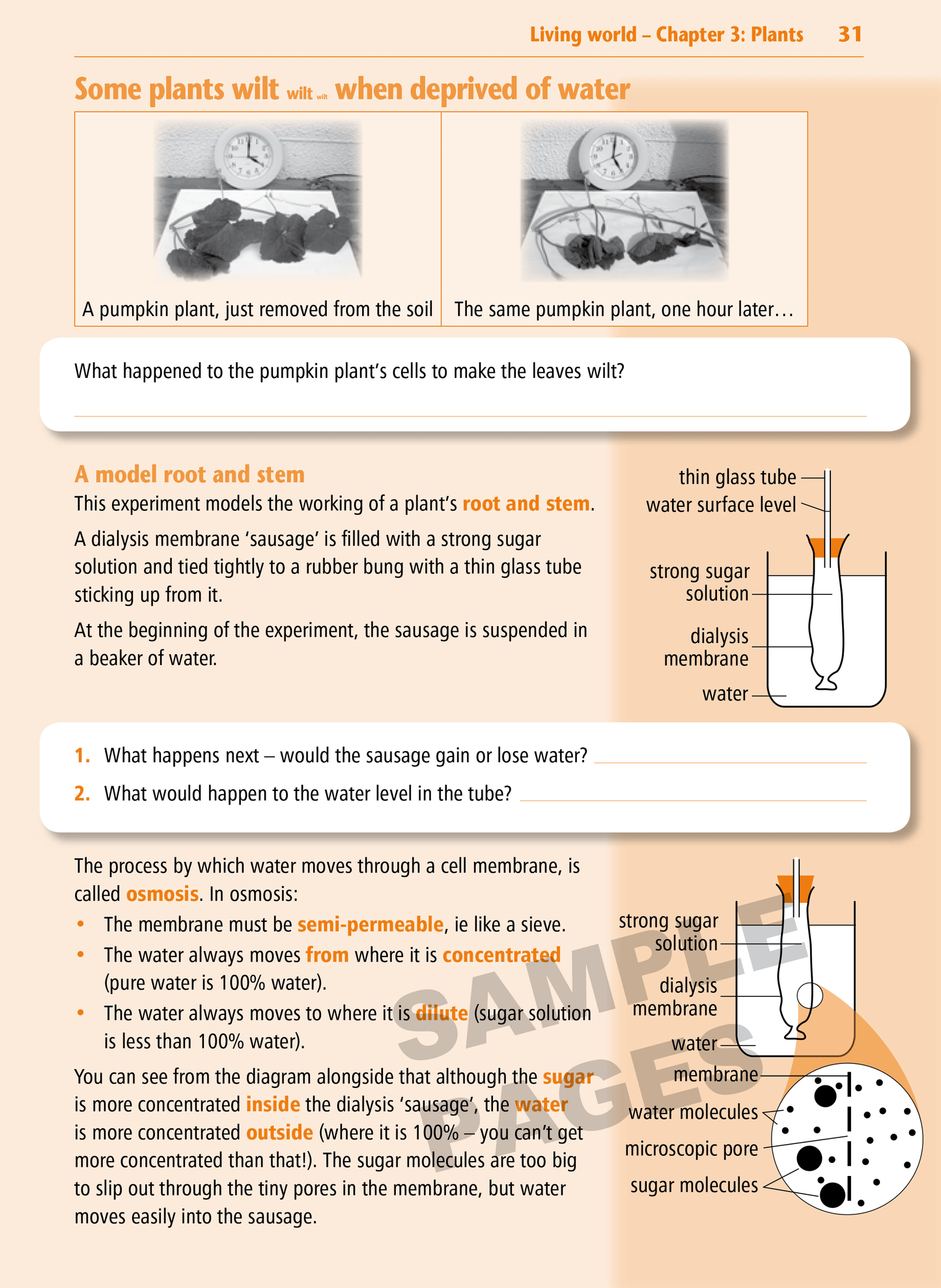 Year 10 Science Learning Workbook