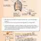 Year 10 Science Learning Workbook