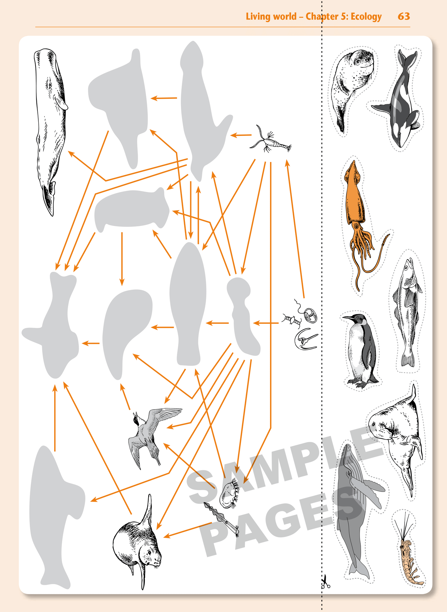 Year 10 Science Learning Workbook