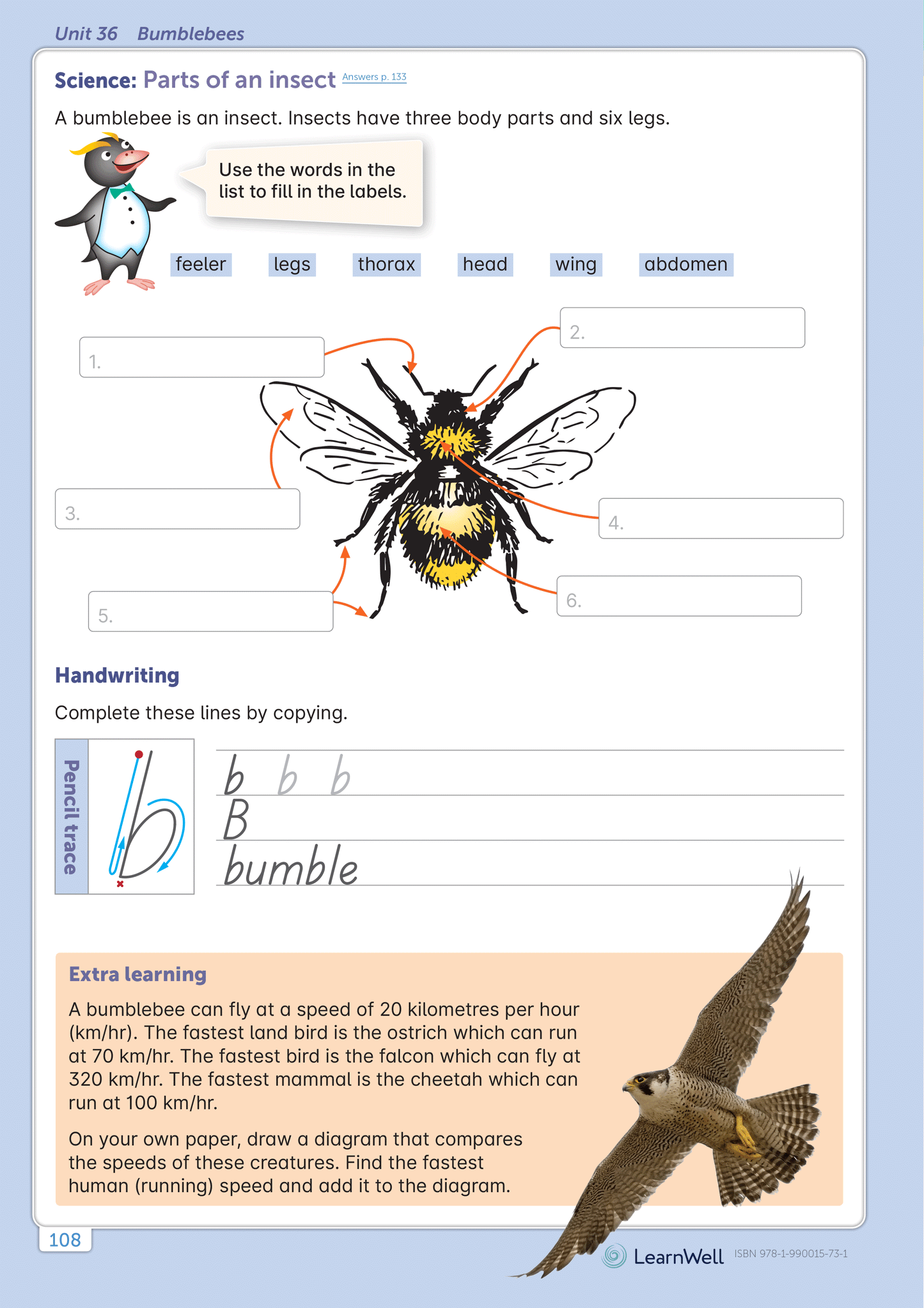 Year 3 Homework Start Right Workbook