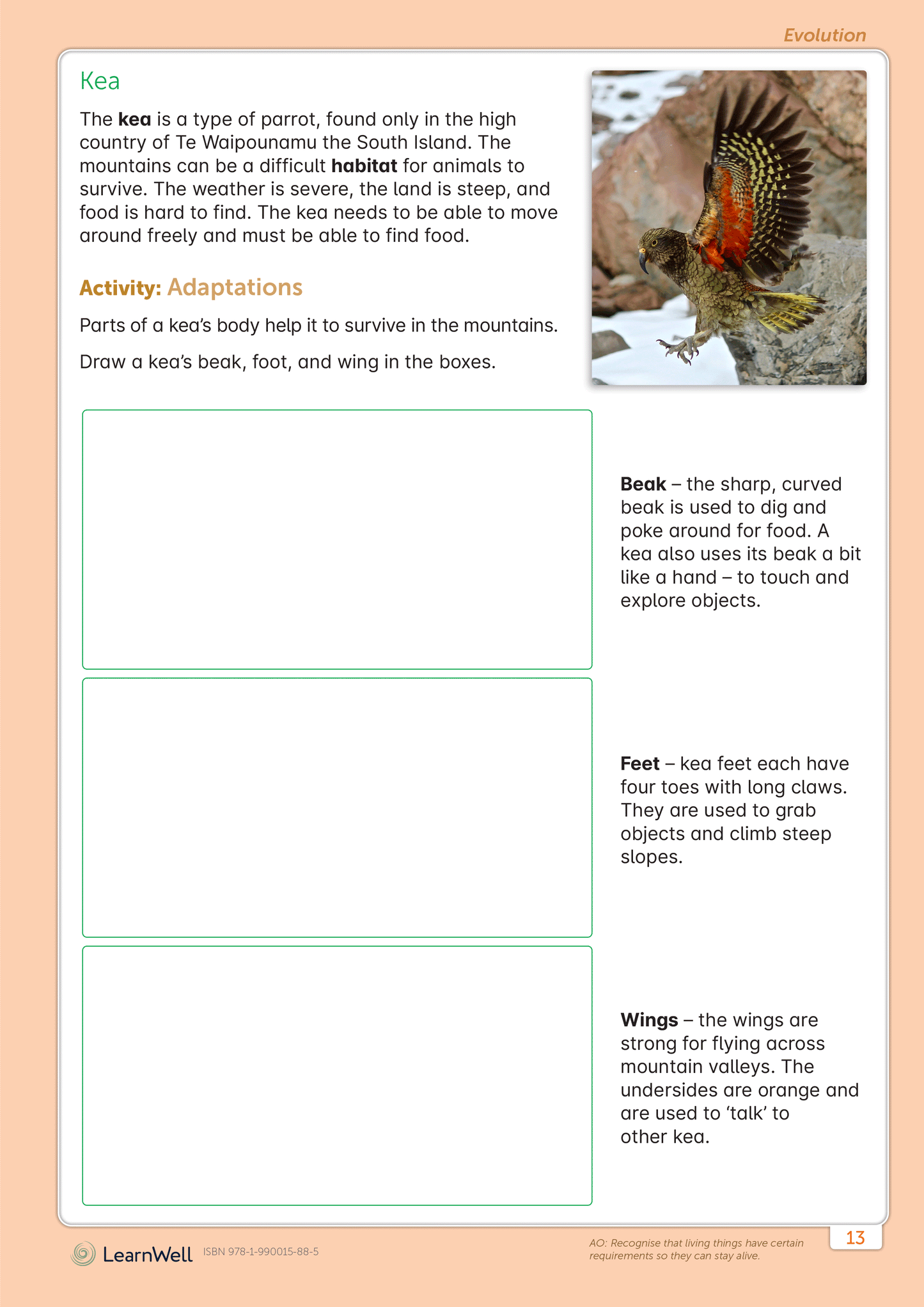 Year 4 Science Start Right Workbook