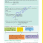 Year 9 Mathematics and Statistics Learning Workbook