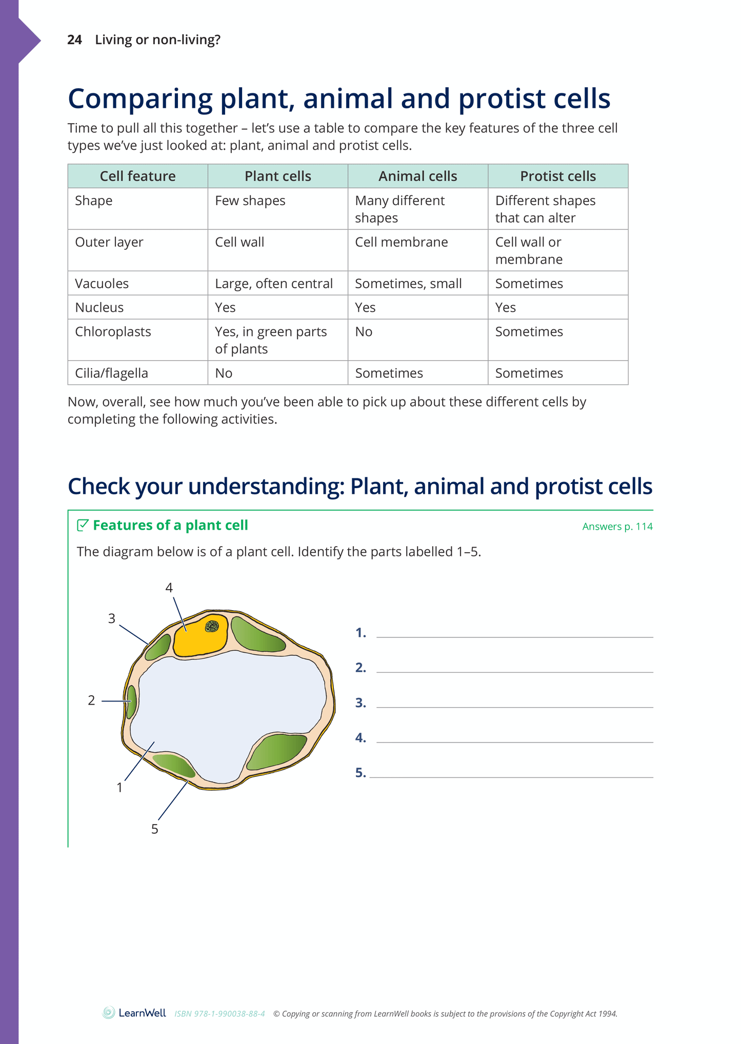 Year 9 Living World Learning Guide