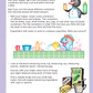 Year 1 Mathematics Start Right Workbook