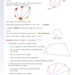 Year 7 Mathematics Start Right Workbook